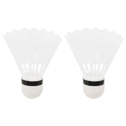 Badmintonset Met 2 Rackets, Net En Opbergkoffer 292X30X152 Cm